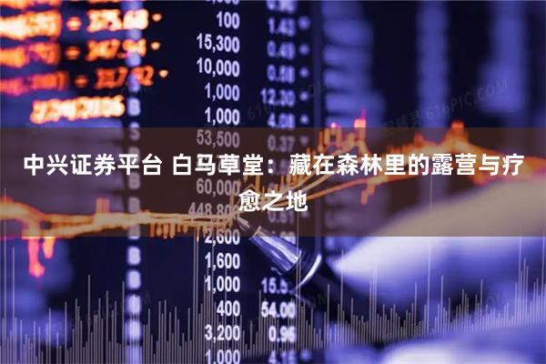 中兴证券平台 白马草堂：藏在森林里的露营与疗愈之地