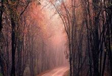 配资行情最新消:沈阳股票配资公司-BAT资本开支飙升168%!机构调升阿里、“寒王”目标价 AI基建迎价值重估?