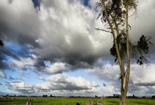 正规的股票平台有哪些:配资股票交易网站-习近平:中方愿同各方共同建设好人工智能应用合作中心