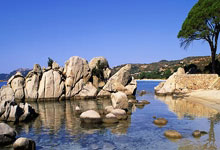 股票交易软件有哪些:看股票有哪些app-胜宏科技暴涨6倍以上!滞涨+绩优+低PE行业龙头股揭晓 13股上榜